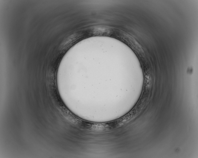 X0000096630375200803041109