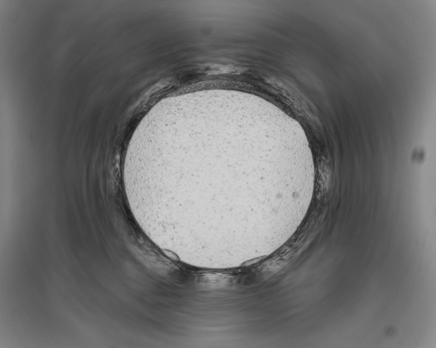 X0000096630376200803041109