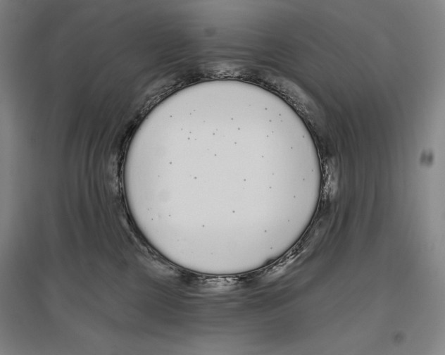 X0000096630377200803041109