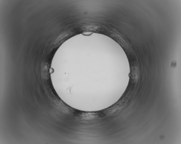 X0000096630378200803041109