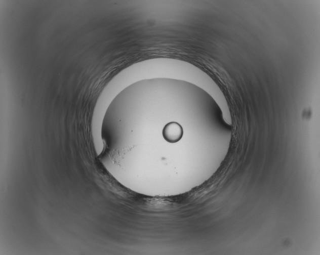 X0000096630380200803041109