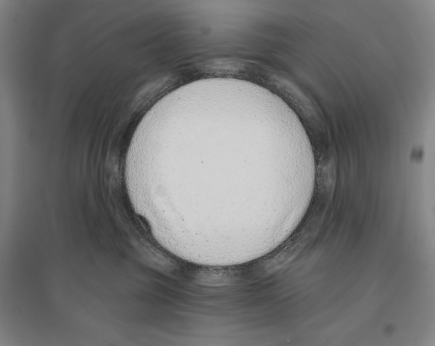 X0000096630381200803041109
