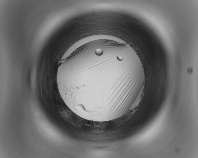 X0000096630382200803041109