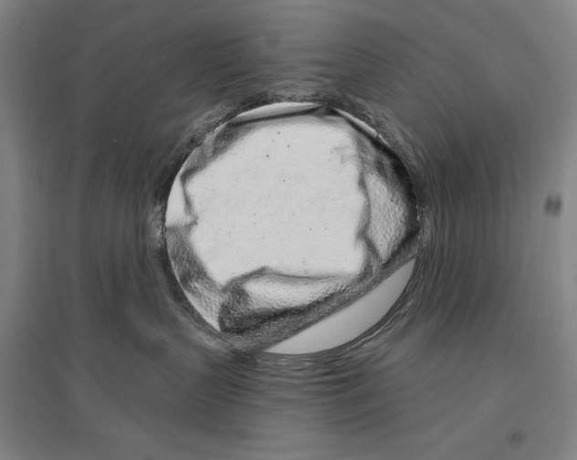 X0000096630383200803041109