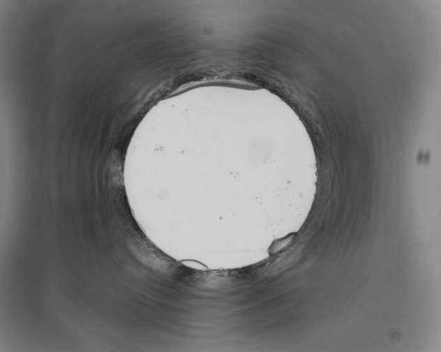 X0000096630384200803041109