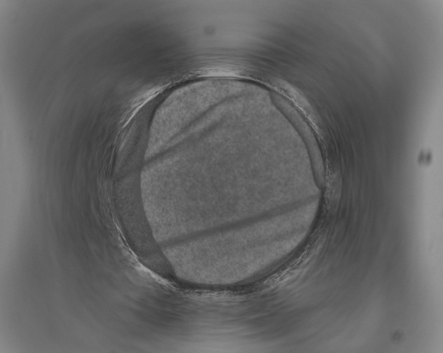 X0000096630385200803041109