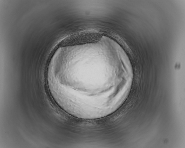 X0000096630386200803041109