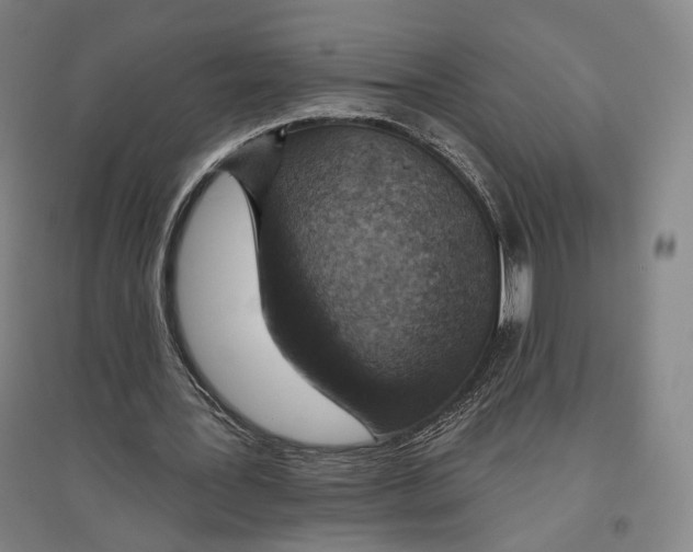 X0000096630387200803041109