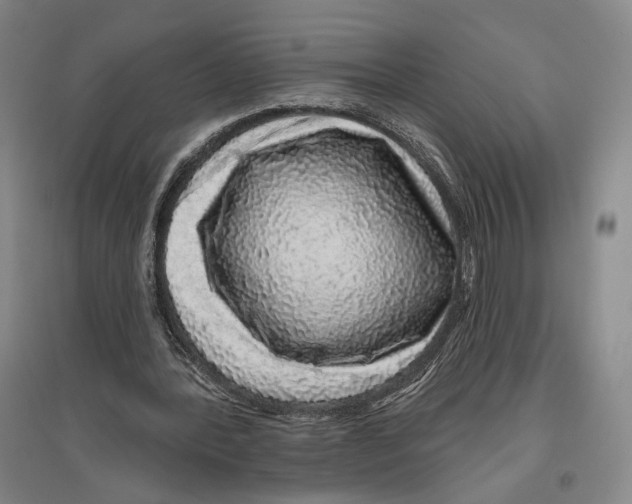 X0000096630388200803041109