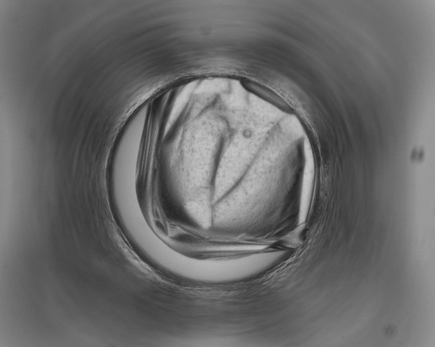 X0000096630389200803041109