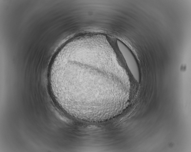 X0000096630390200803041109
