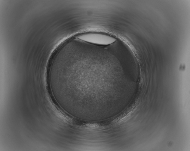 X0000096630391200803041109