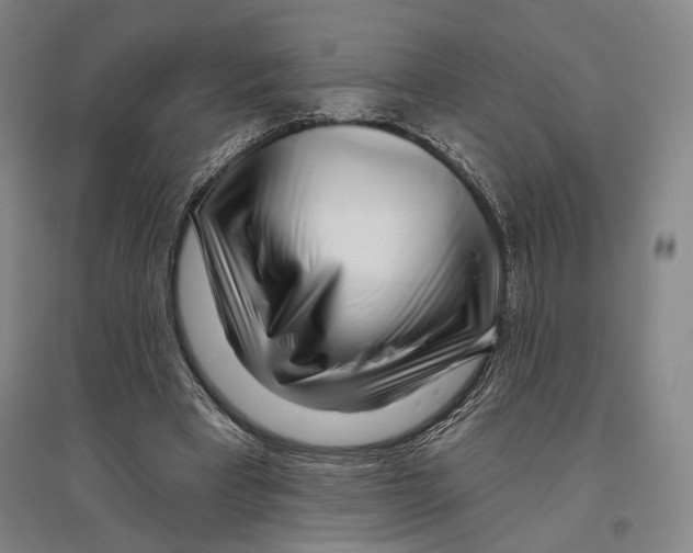 X0000096630393200803041109