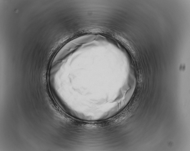 X0000096630394200803041109