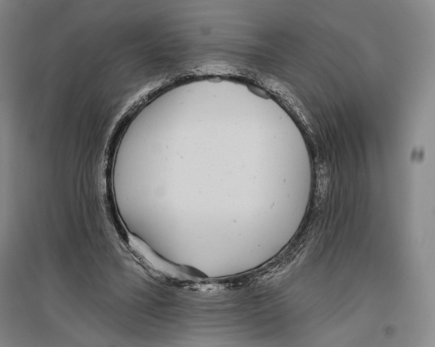 X0000096630395200803041109