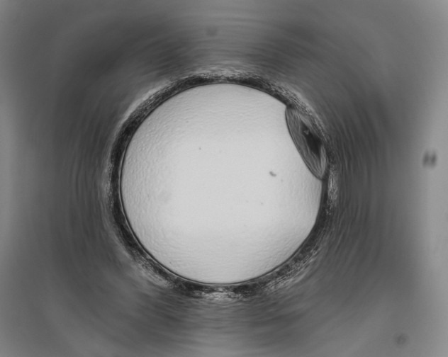 X0000096630396200803041108