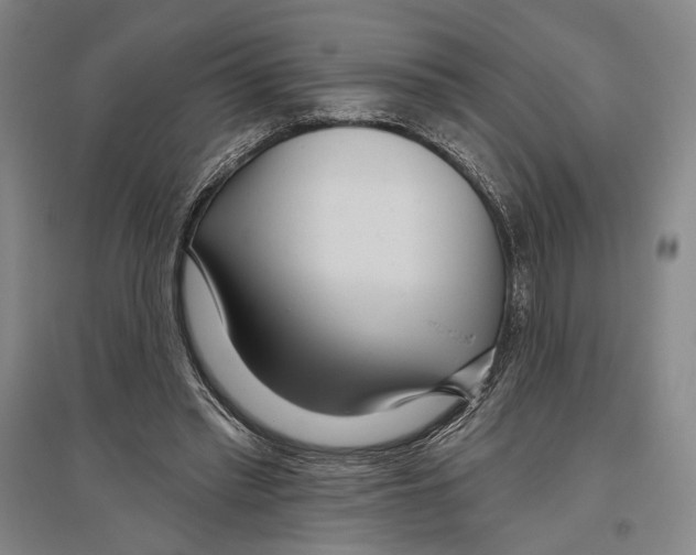 X0000096630397200803041108
