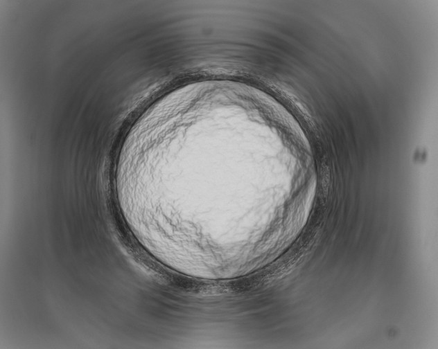 X0000096630398200803041108