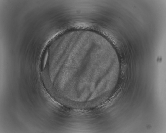 X0000096630399200803041108