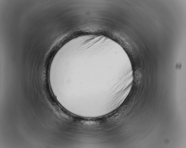X0000096630400200803041108