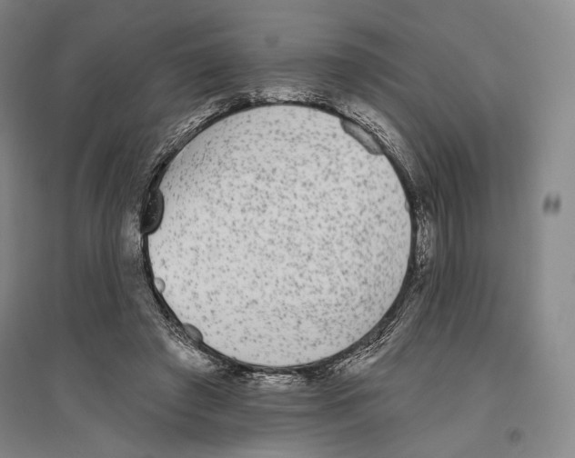 X0000096630401200803041108