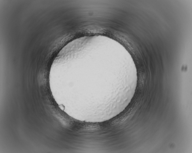 X0000096630402200803041108