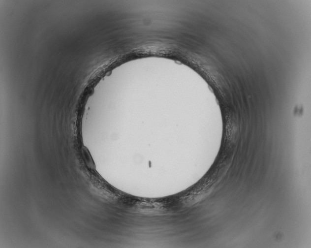 X0000096630403200803041108
