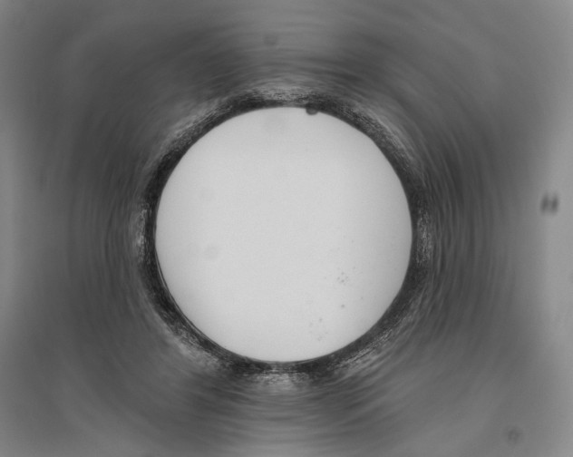 X0000096630404200803041108