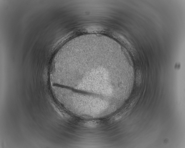 X0000096630405200803041108