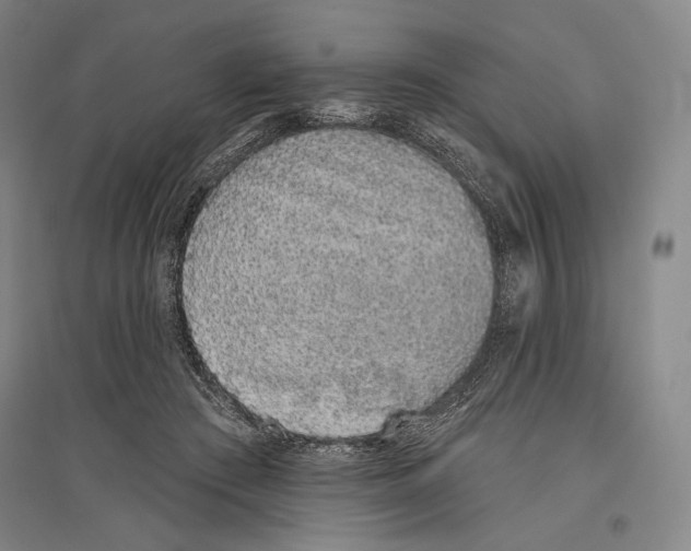 X0000096630409200803041108