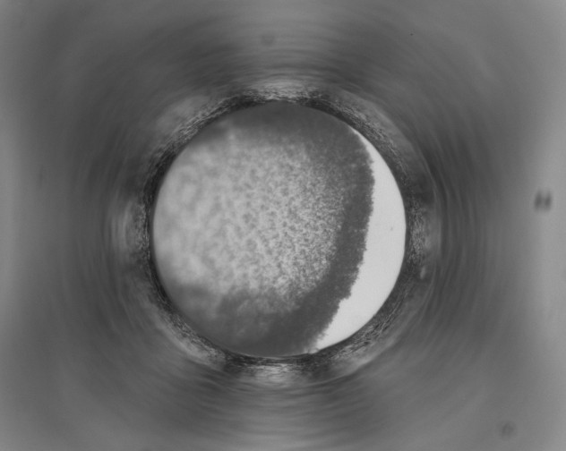 X0000096630411200803041108
