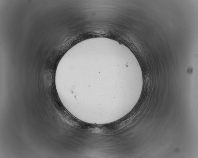 X0000096630412200803041108