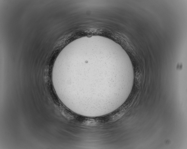 X0000096630416200803041108