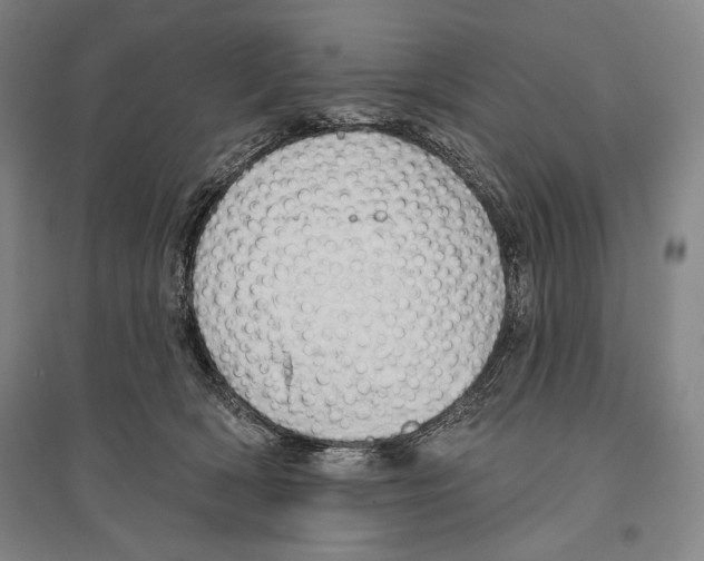 X0000096630418200803041108