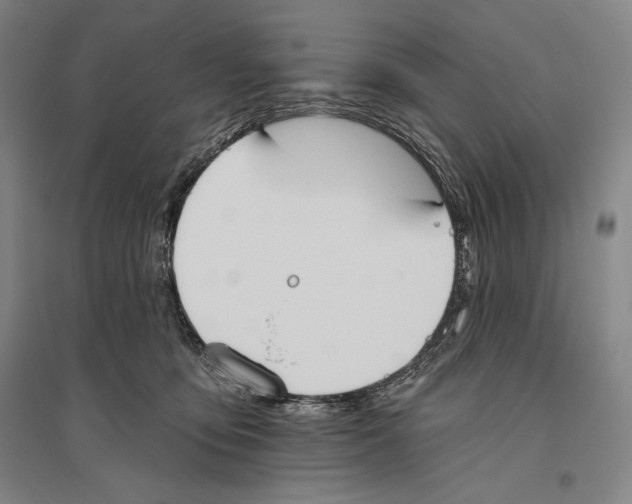X0000096630419200803041108