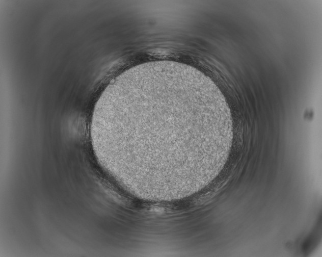 X0000096630420200803041108