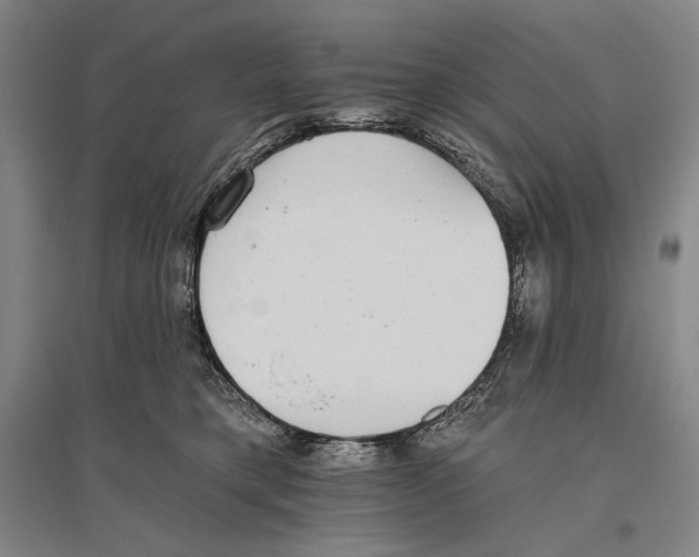 X0000096630421200803041108