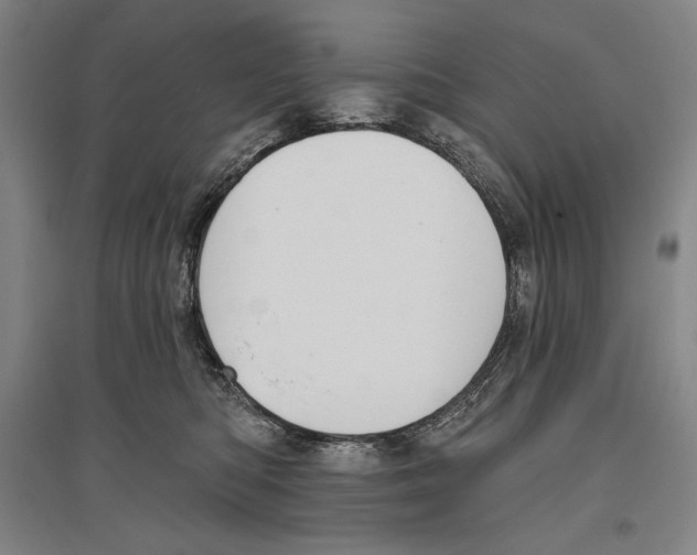 X0000096630422200803041108