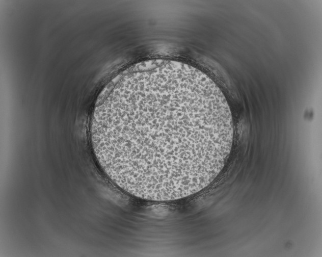 X0000096630423200803041108