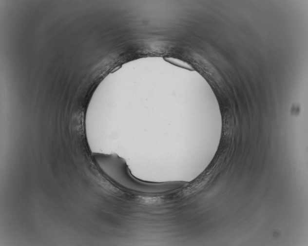 X0000096630425200803041108