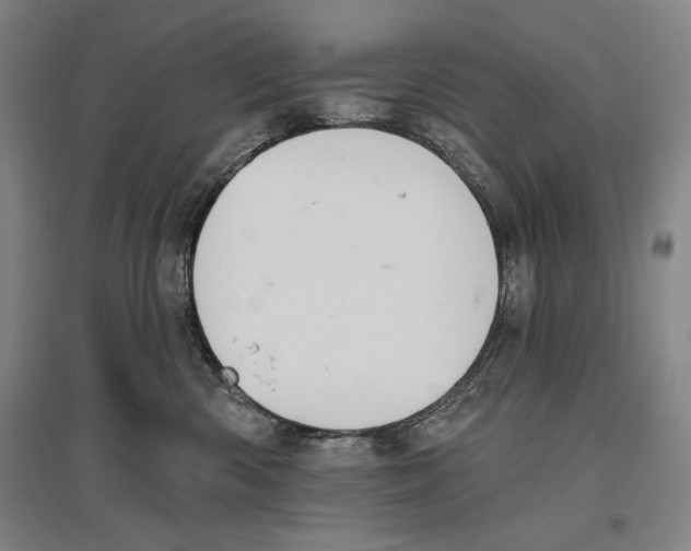 X0000096630426200803041108