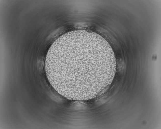 X0000096630427200803041108