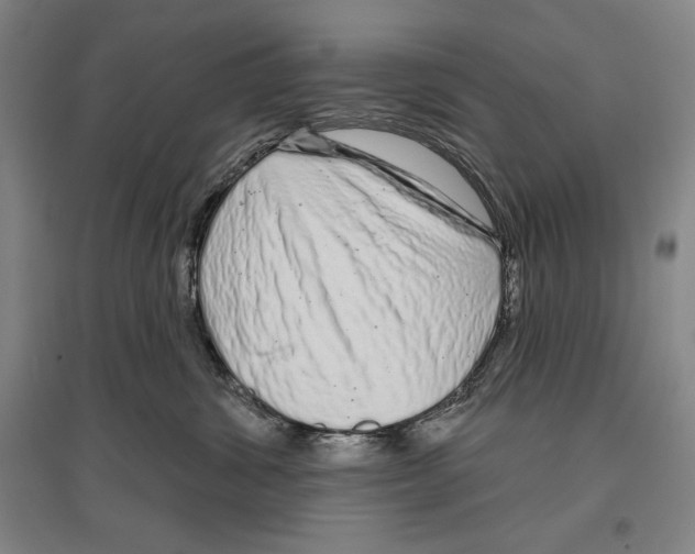 X0000096630428200803041108