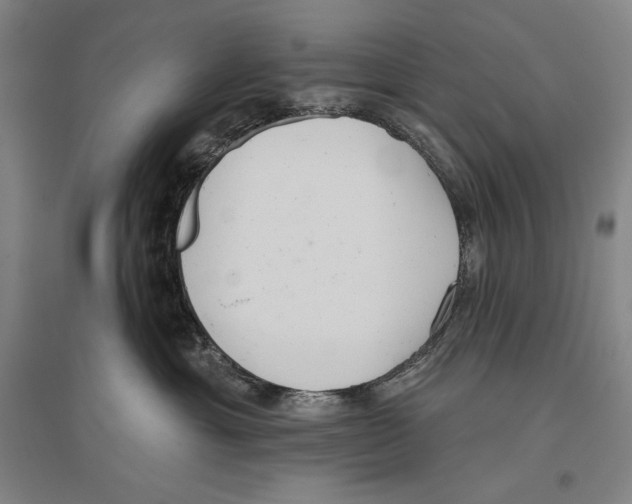 X0000096630429200803041108