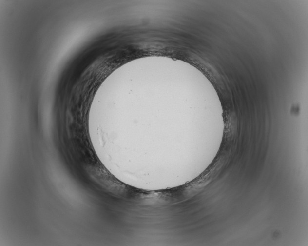 X0000096630430200803041108