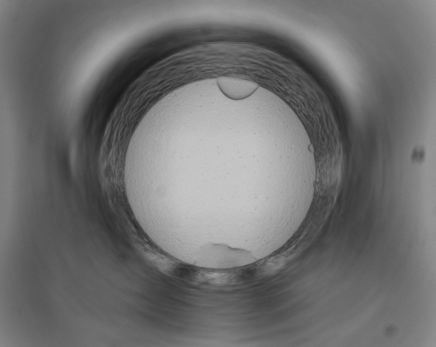 X0000096630431200803041108