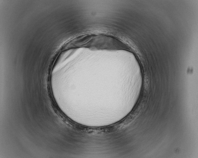 X0000096630434200803041107