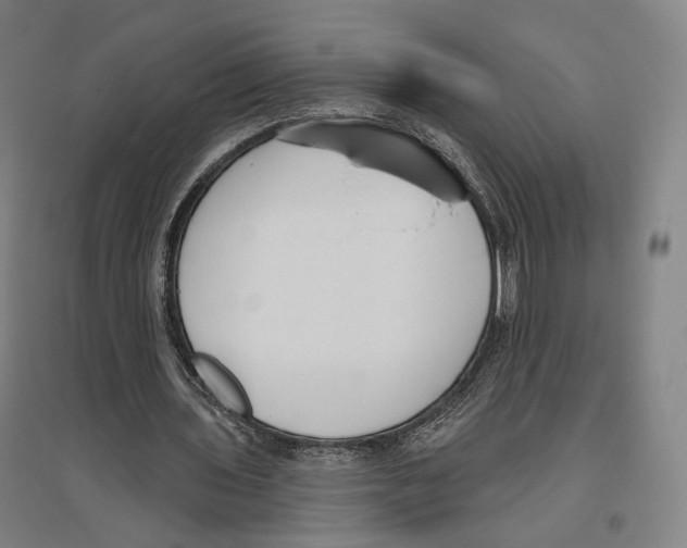 X0000096630435200803041107