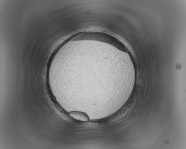 X0000096630437200803041107
