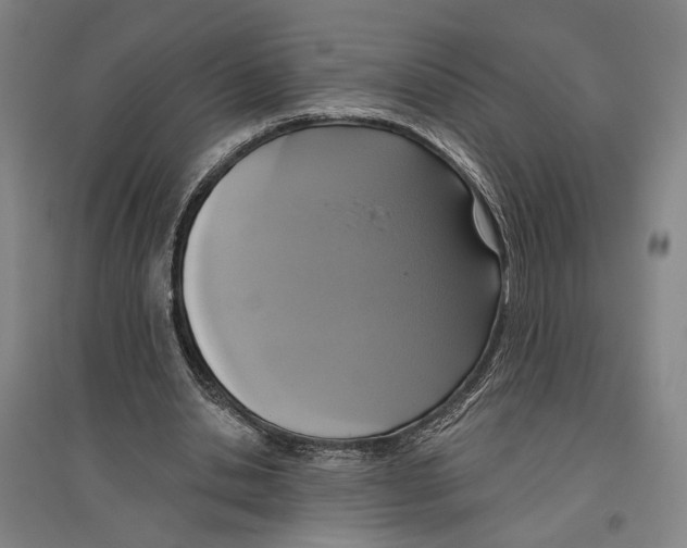 X0000096630438200803041107